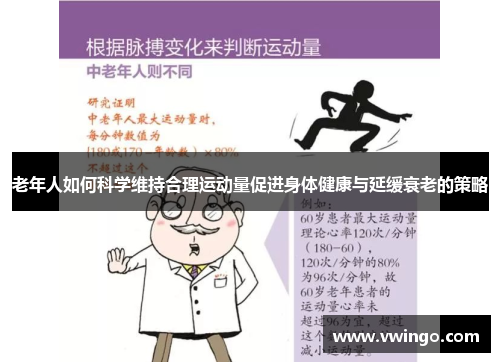 老年人如何科学维持合理运动量促进身体健康与延缓衰老的策略