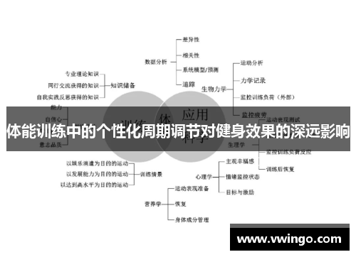 体能训练中的个性化周期调节对健身效果的深远影响